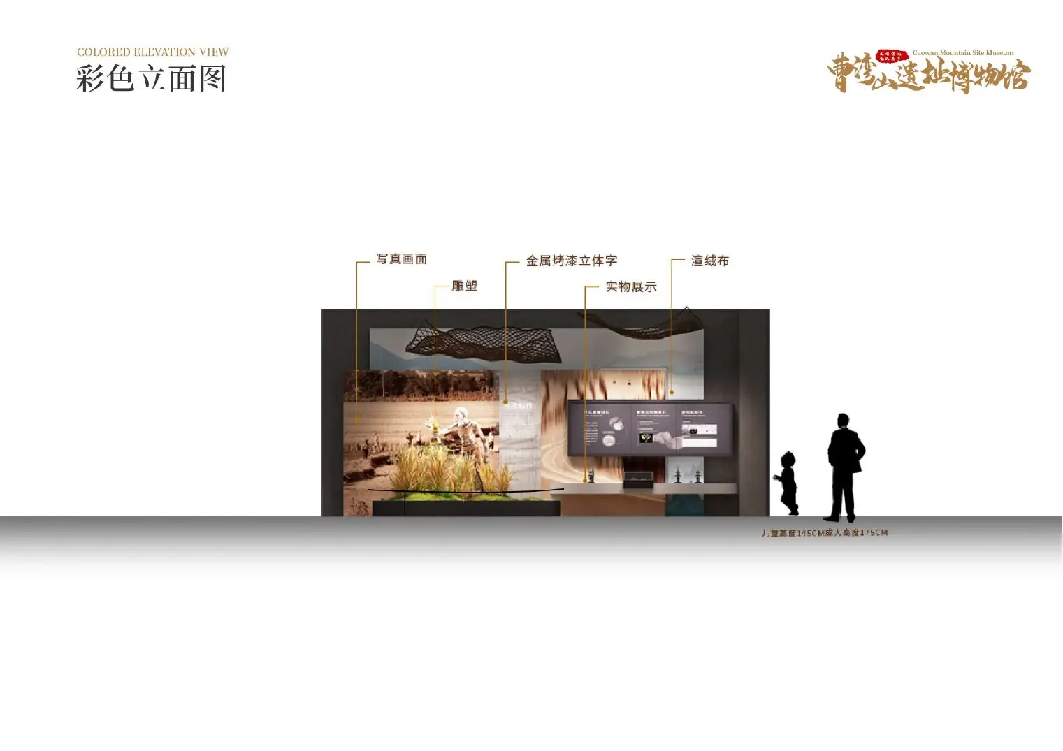 滩涂稻作立面深化图